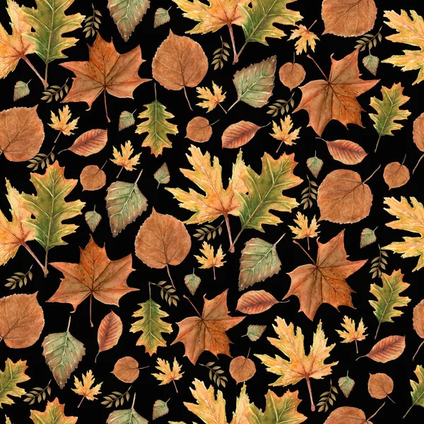 Seamless pattern of Autumn fall leaves,  natural branches, colorful herbs, hand drawn in watercolor. Beauty elegant background, texture, print, textile fabric, wallpaper on black