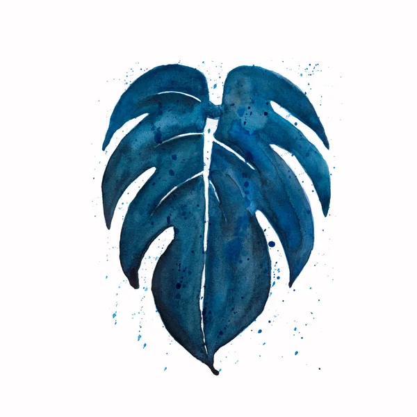 Watercolor Monstera Leaf Blue Color Splashes Isolated White Background Tropical — Stock Photo, Image