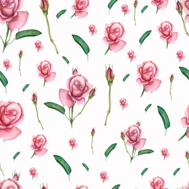 Bahar çiçekleri ve yaprakları ile Seamless modeli. Elle çizilmiş arka plan. çiçek desenli duvar kağıdı veya kumaş. Pembe renkte gül çiçek. Botanik. Retro tarzı. Beyaz arka plan.