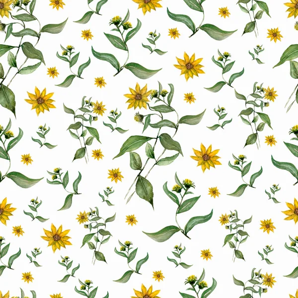 Flowers Heliopsis Branch Leaves Flowers Buds Watercolor Seamless Background Collage — Stock Photo, Image