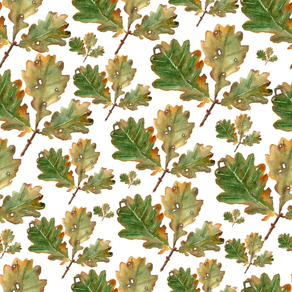 Pattern Autumn Oak Branch Green Yellow Leaves Watercolor Fall Leaves — Stock Photo, Image