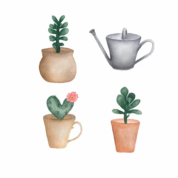 Watercolor Set Succulent Plants Cactus Metal Watering Can Isolated Watercolor — Stock Photo, Image