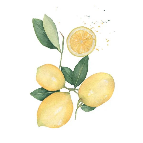 Lemons Branch Half Splashes Watercolor Isolated White Background Hand Drawn — Stock Photo, Image