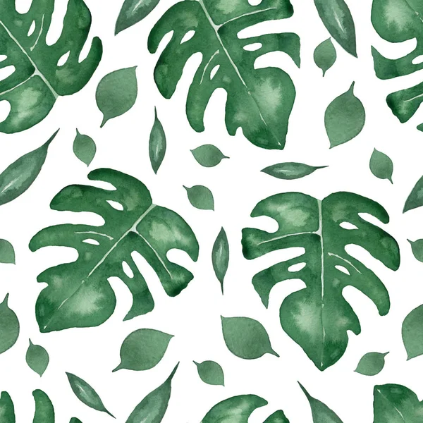 Seamless Pattern Leaves Monstera Tropical Leaves Palm Tree Watercolor Exotic — Stock Photo, Image