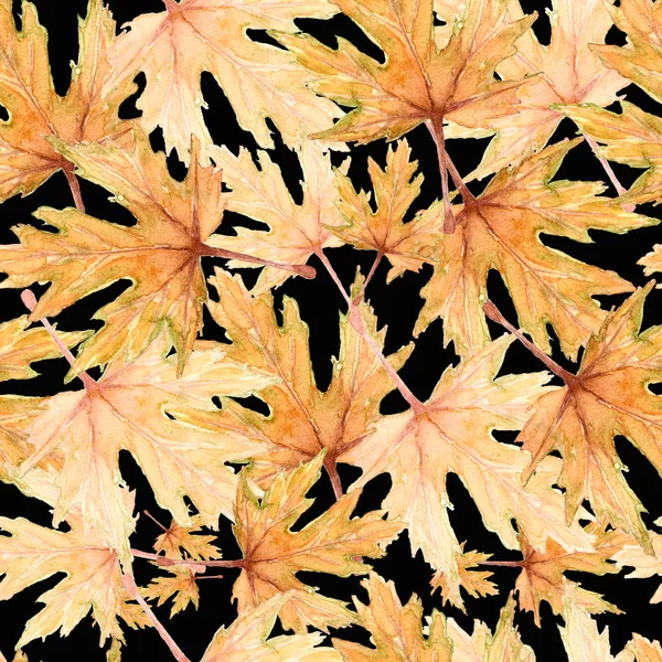 Watercolor Autumn Maple Leaves Seamless Pattern Black Background Hand Drawn — Stock Photo, Image