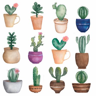 Tencerede ev bitkileri kaktüsler çizilmiş suluboya el seti. Kaktüs çiçeği illüstrasyon.