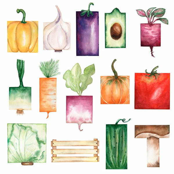 Акварель пофарбована колекція прямокутних овочів. Рука намальовані елементи дизайну свіжої їжі ізольовані на білому тлі. Абстрактний тренд набір овочевих садів . — стокове фото