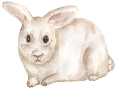Suluboya küçük tavşan çizimi, yavru tavşan klipsi