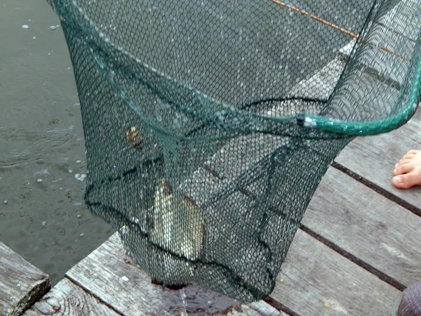 Matériel Pêche Pour Cannes Pêche Flotteurs Filets Pour Pêche — Photo