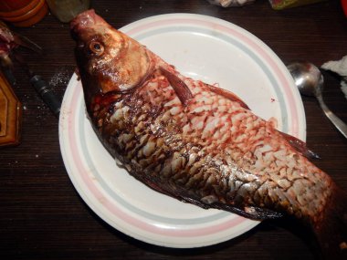 Göl ve nehir balık balık tutma