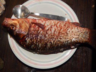 Göl ve nehir balık balık tutma