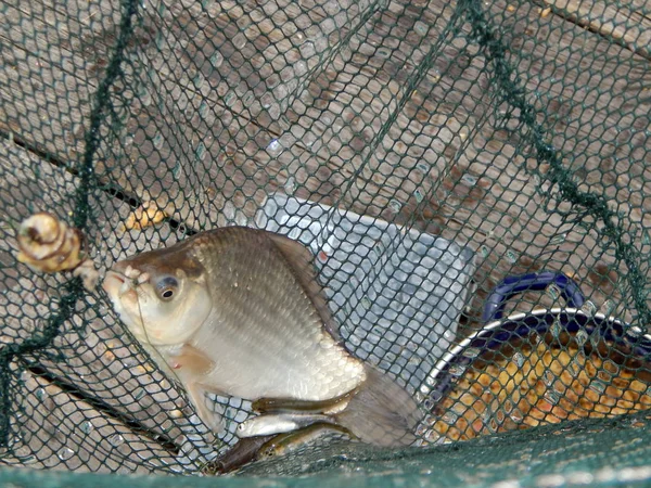 Angelausrüstung Für Angelruten Schwimmer Netze Zum Fischen — Stockfoto