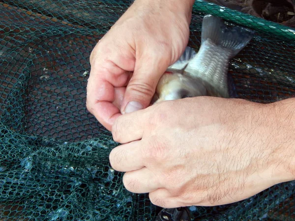 Visserij Uitrusting Voor Hengels Drijvers Netten Voor Visserij — Stockfoto
