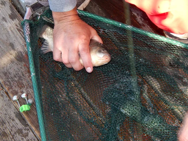 Aparejos Pesca Para Cañas Pescar Flotadores Redes Pesca — Foto de Stock