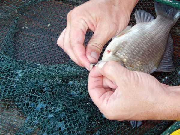 Aparejos Pesca Para Cañas Pescar Flotadores Redes Pesca — Foto de Stock