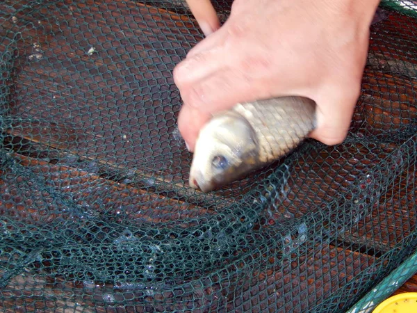 Aparejos Pesca Para Cañas Pescar Flotadores Redes Pesca — Foto de Stock