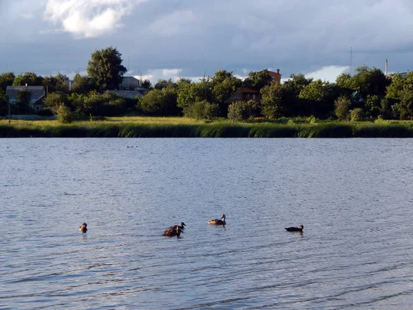 Fiskeredskap För Spön Flottar Nät För Fiske — Stockfoto