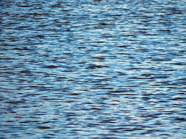 水の質感と湖の波紋川 — ストック写真