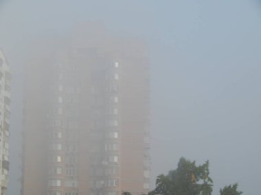 Park city sarı sonbahar yaprakları