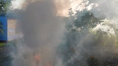 Çalı çırpı ve tahta ateş ateş yakar  