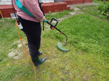 Bitki ve Bahçe çiçek dikim tarım