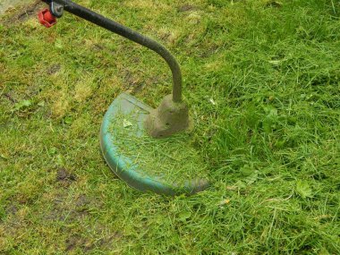 Bitki ve Bahçe çiçek dikim tarım