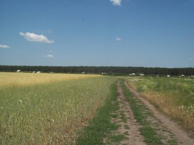 Alan şehir, tarım tesisleri dışında