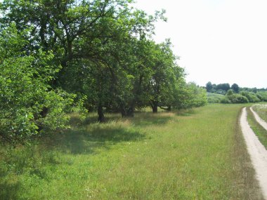 Alan şehir, tarım tesisleri dışında