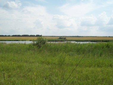Alan şehir, tarım tesisleri dışında