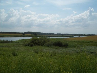 Alan şehir, tarım tesisleri dışında