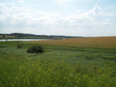 Alan şehir, tarım tesisleri dışında