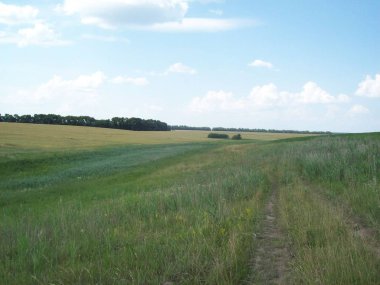 Alan şehir, tarım tesisleri dışında