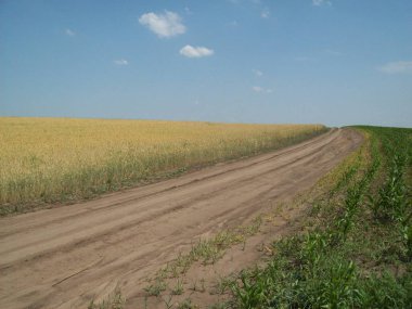 Alan şehir, tarım tesisleri dışında