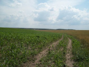 Alan şehir, tarım tesisleri dışında
