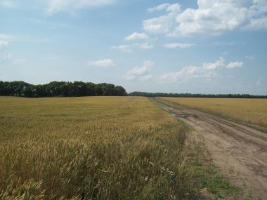 Alan şehir, tarım tesisleri dışında