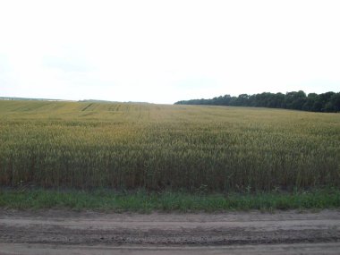 Alan şehir, tarım tesisleri dışında