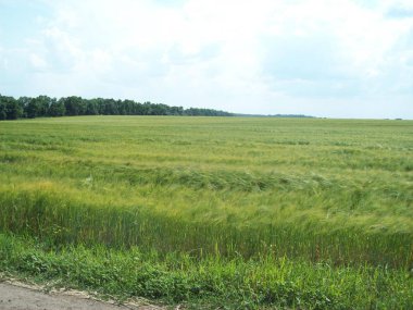 Alan şehir, tarım tesisleri dışında