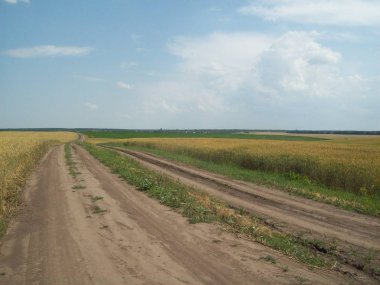Alan şehir, tarım tesisleri dışında