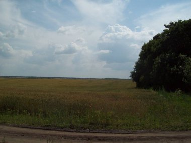 Alan şehir, tarım tesisleri dışında
