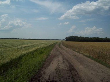 Alan şehir, tarım tesisleri dışında