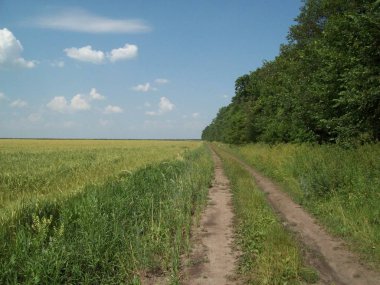 Alan şehir, tarım tesisleri dışında