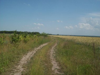 Alan şehir, tarım tesisleri dışında