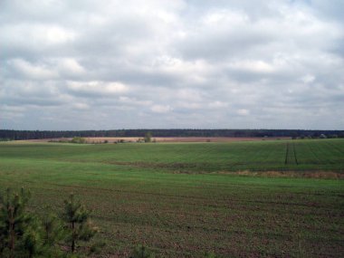 Alan şehir, tarım tesisleri dışında