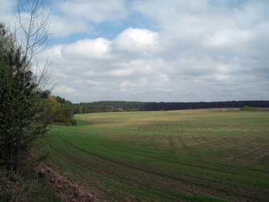 Alan şehir, tarım tesisleri dışında