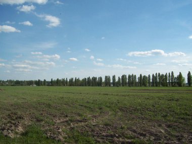Alan şehir, tarım tesisleri dışında