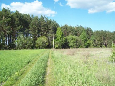 Alan şehir, tarım tesisleri dışında