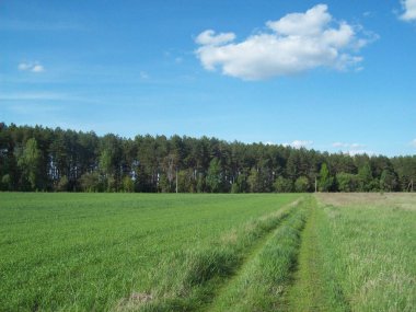 Alan şehir, tarım tesisleri dışında
