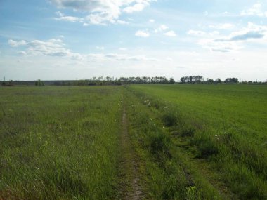 Alan şehir, tarım tesisleri dışında