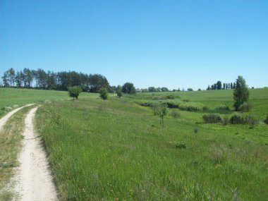 Alan şehir, tarım tesisleri dışında