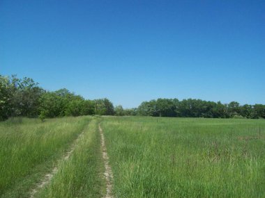 Alan şehir, tarım tesisleri dışında